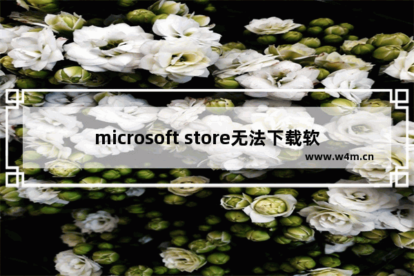 microsoft store无法下载软件,为什么在microsoft store下载的软件打不开