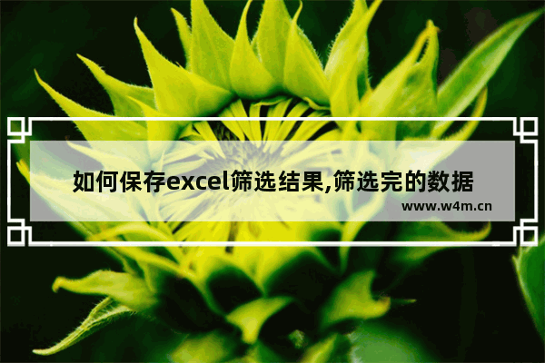 如何保存excel筛选结果,筛选完的数据怎么保存