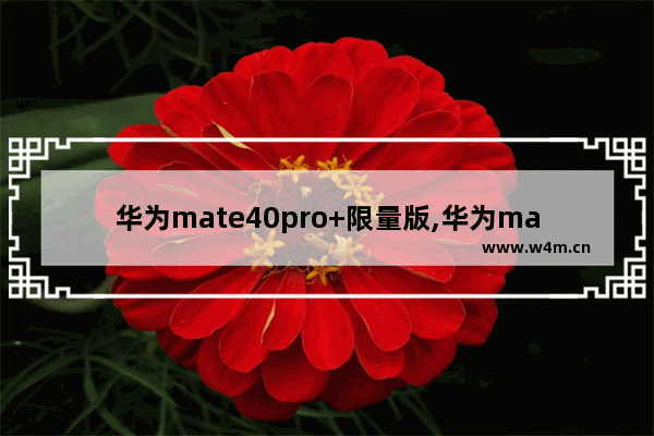 华为mate40pro+限量版,华为mate40pro限量珍藏版