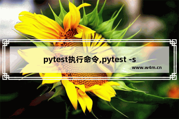 pytest执行命令,pytest -s命令是啥