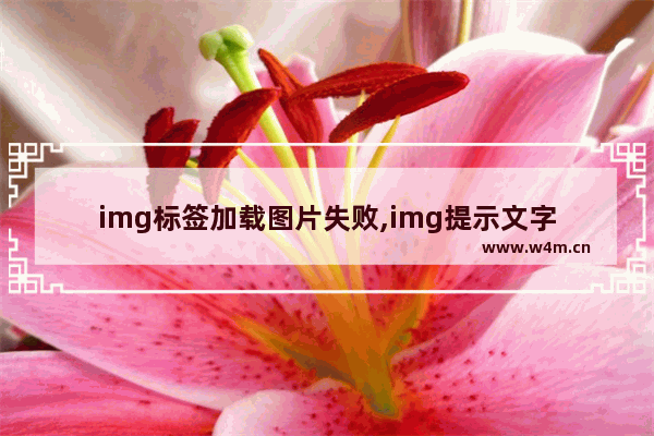 img标签加载图片失败,img提示文字