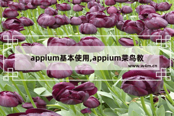 appium基本使用,appium菜鸟教程