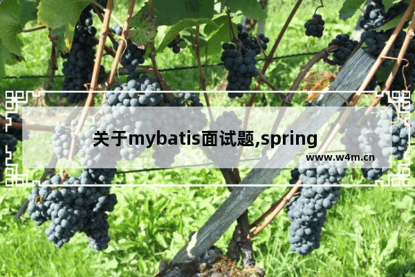 关于mybatis面试题,spring springmvc mybatis面试题