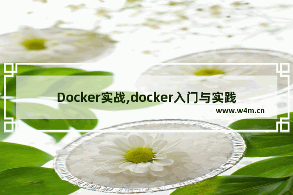 Docker实战,docker入门与实践