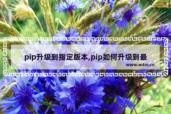 pip升级到指定版本,pip如何升级到最新版本