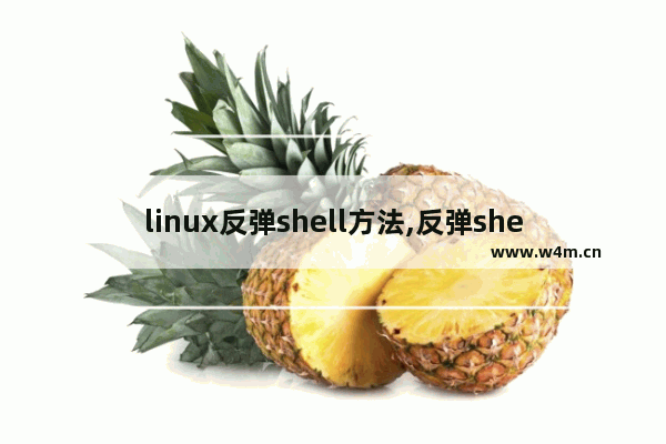 linux反弹shell方法,反弹shell原理