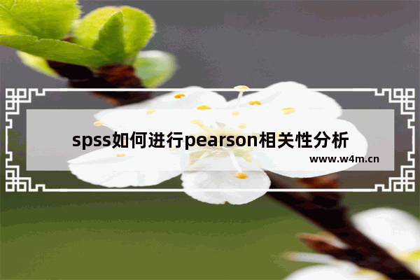 spss如何进行pearson相关性分析,spss pearson相关性分析结果怎么看