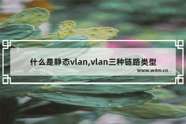 什么是静态vlan,vlan三种链路类型