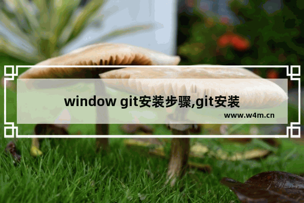 window git安装步骤,git安装配置教程 windows