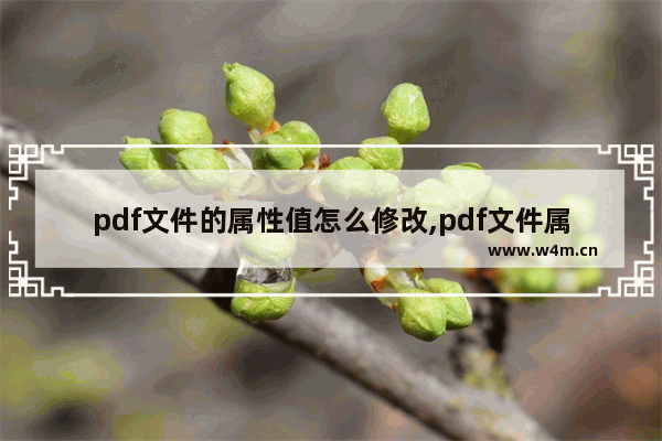 pdf文件的属性值怎么修改,pdf文件属性怎么修改