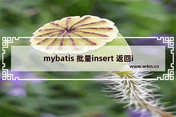 mybatis 批量insert 返回id,mybatis返回新增数据的id