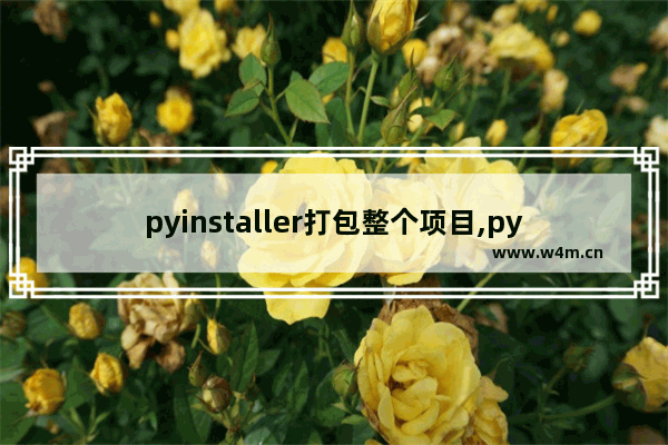 pyinstaller打包整个项目,pyinstallerspec手动添加包