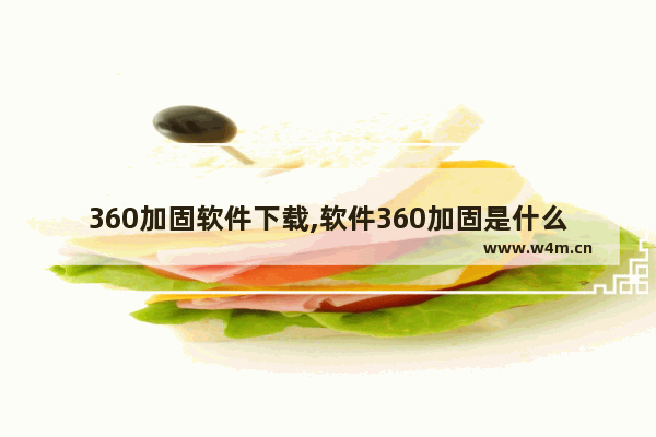 360加固软件下载,软件360加固是什么意思