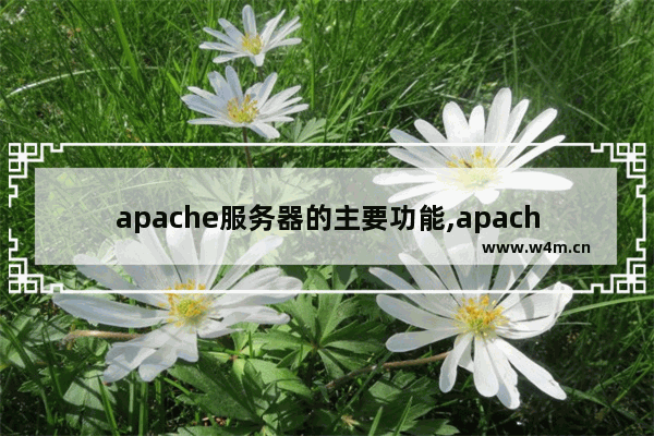 apache服务器的主要功能,apache 文件服务器