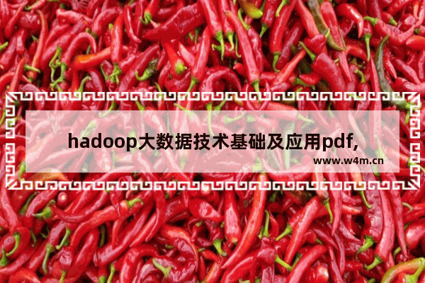 hadoop大数据技术基础及应用pdf,基于hadoop的大数据处理技术