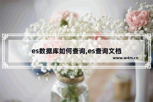 es数据库如何查询,es查询文档