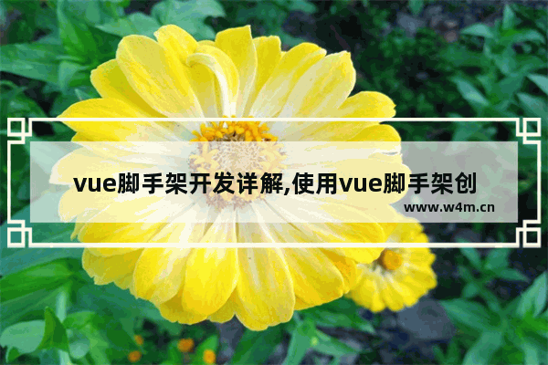 vue脚手架开发详解,使用vue脚手架创建项目