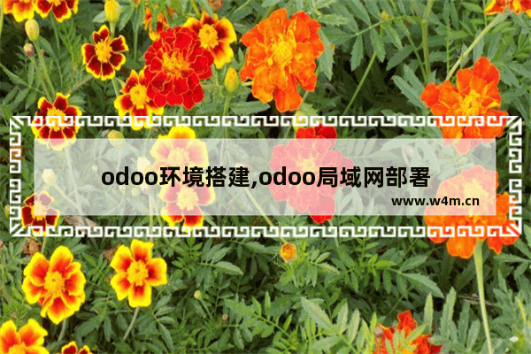 odoo环境搭建,odoo局域网部署