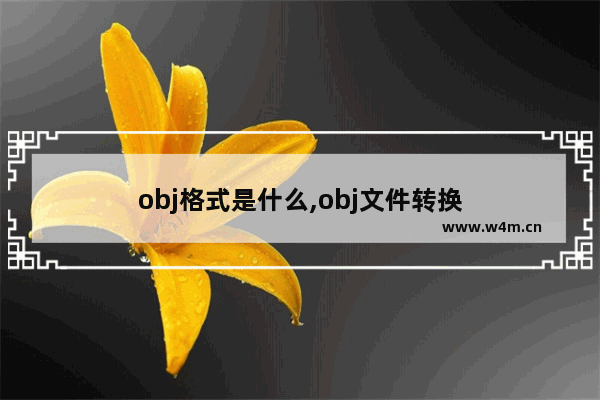 obj格式是什么,obj文件转换