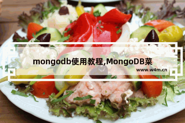 mongodb使用教程,MongoDB菜鸟教程