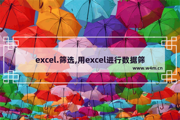 excel.筛选,用excel进行数据筛选