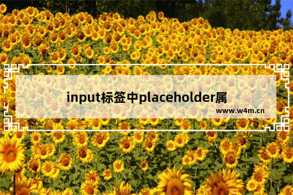 input标签中placeholder属性,css中placeholder用法