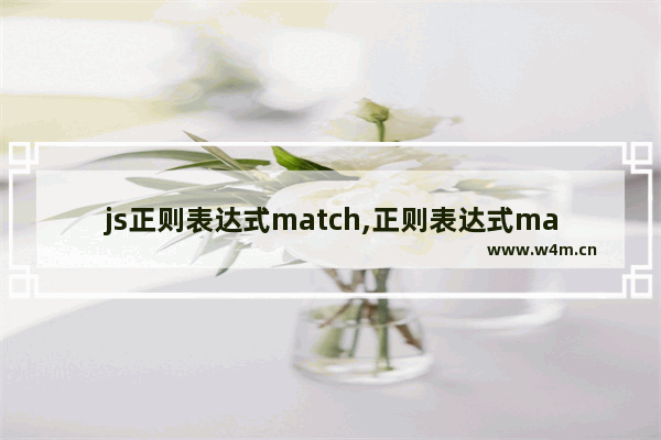 js正则表达式match,正则表达式match的返回值