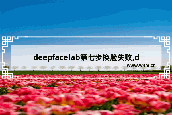 deepfacelab第七步换脸失败,deepfacelab新手教程