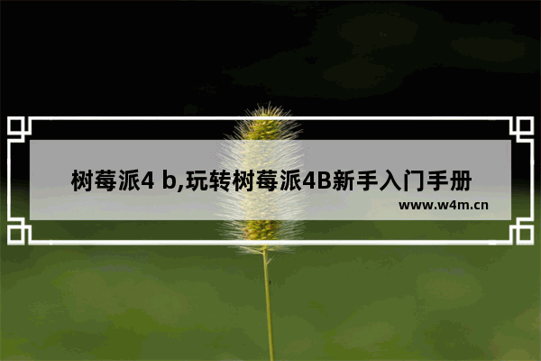 树莓派4 b,玩转树莓派4B新手入门手册pdf