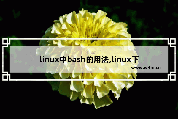 linux中bash的用法,linux下bash命令