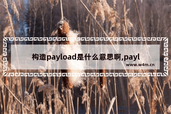 构造payload是什么意思啊,payload的作用