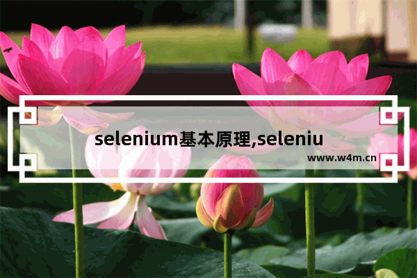 selenium基本原理,selenium的优点