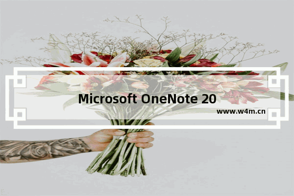 Microsoft OneNote 2010,onenote与onenote for win10