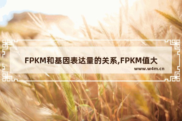 FPKM和基因表达量的关系,FPKM值大概多少算基因表达了