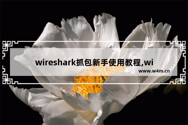 wireshark抓包新手使用教程,wireshark使用方法抓包实验