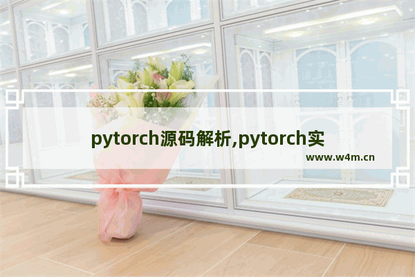 pytorch源码解析,pytorch实现图像识别