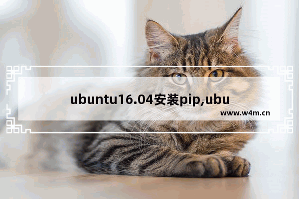 ubuntu16.04安装pip,ubuntu20.04安装pip