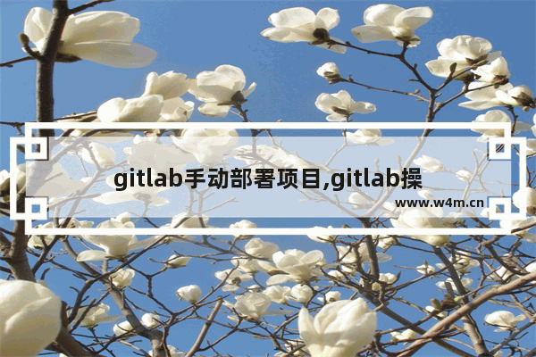 gitlab手动部署项目,gitlab操作