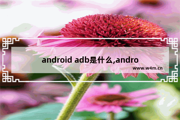 android adb是什么,androidapp是什么意思