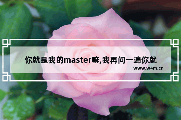 你就是我的master嘛,我再问一遍你就是我的master吗