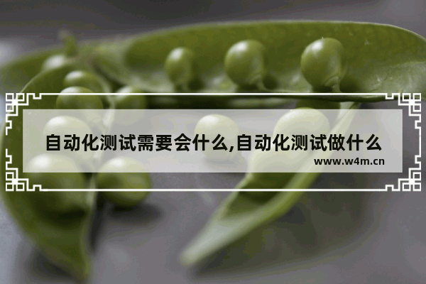 自动化测试需要会什么,自动化测试做什么