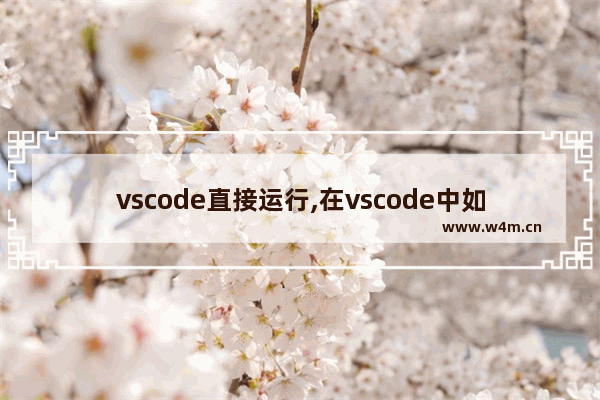 vscode直接运行,在vscode中如何运行程序