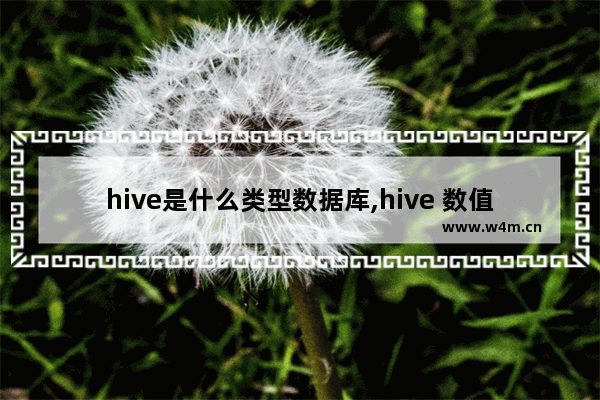 hive是什么类型数据库,hive 数值类型