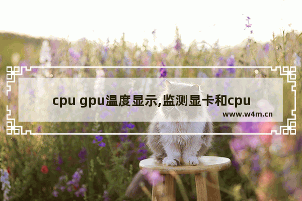 cpu gpu温度显示,监测显卡和cpu温度的软件