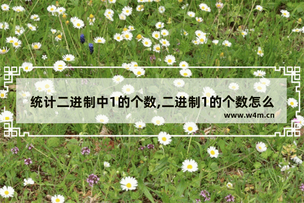 统计二进制中1的个数,二进制1的个数怎么算,统计一个二进制数中1的个数