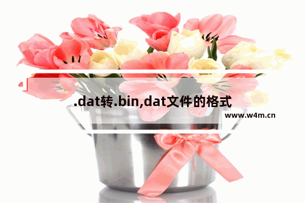 .dat转.bin,dat文件的格式