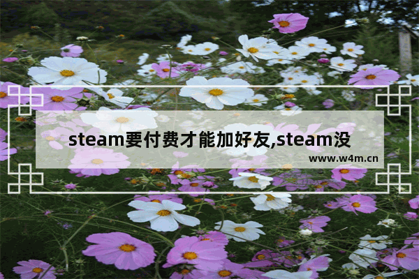 steam要付费才能加好友,steam没花过钱怎么加好友