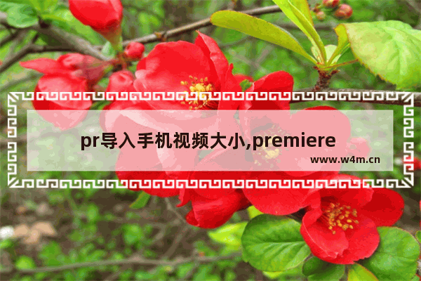 pr导入手机视频大小,premiere 怎么导出手机视频大小的视频