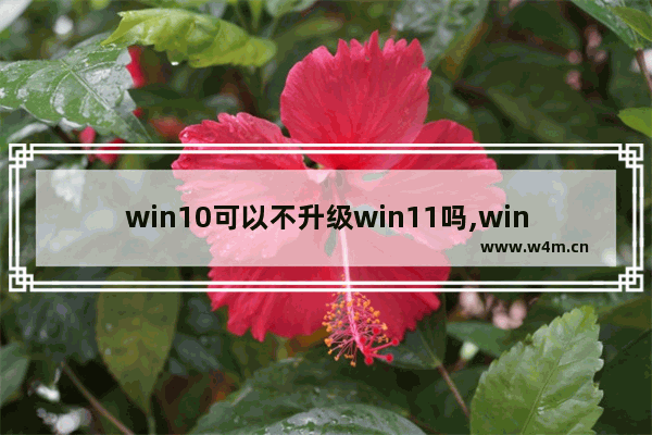 win10可以不升级win11吗,win10建议升级win11吗