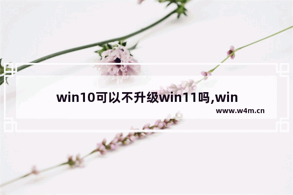 win10可以不升级win11吗,win10建议升级win11吗